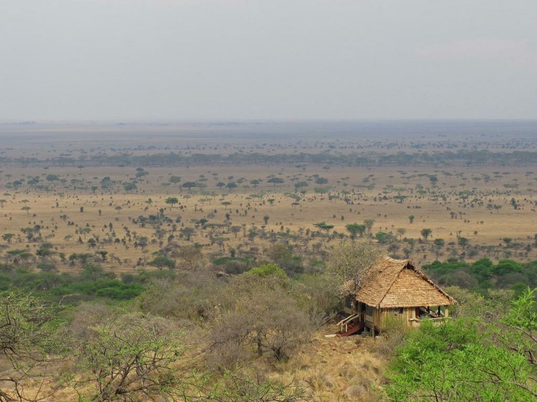 Serengeti Migration Camp