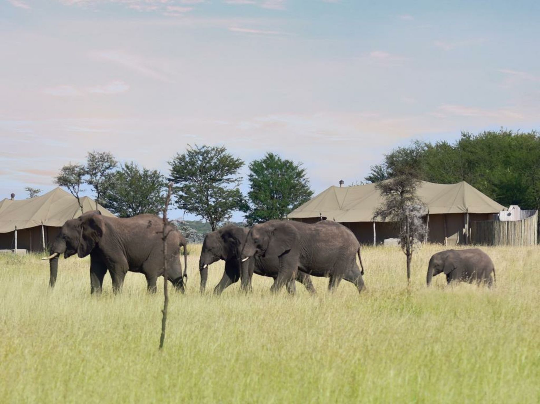 One Nature Nyaruswiga Serengeti