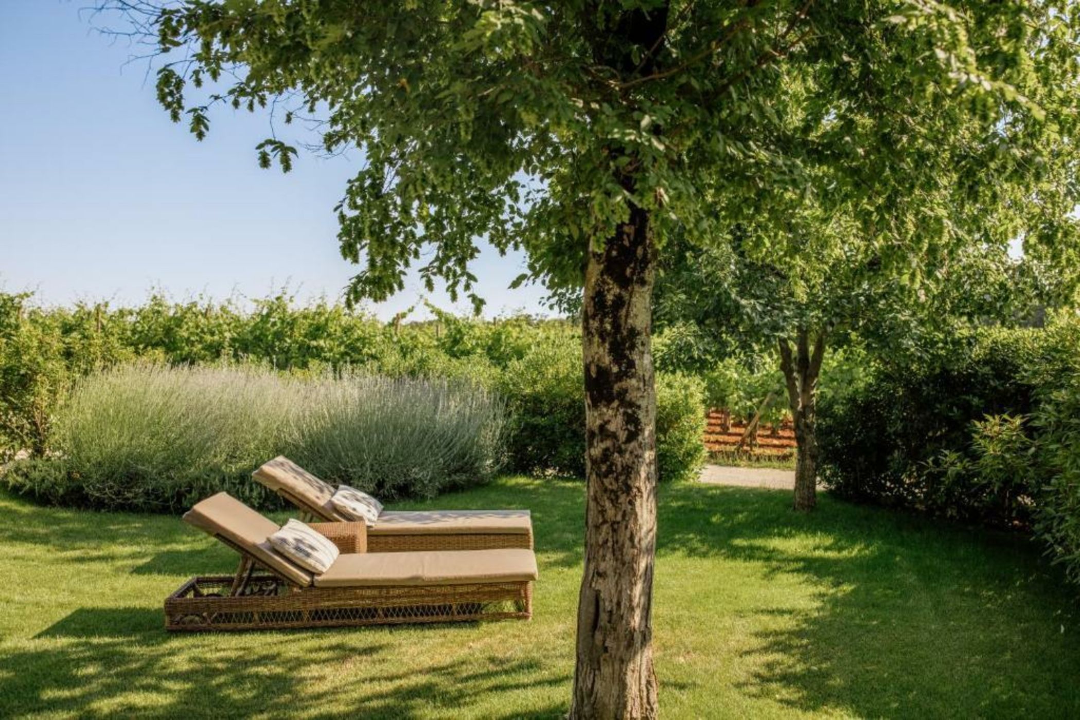 Meneghetti Wine Hotel and Winery - Relais & Chateaux