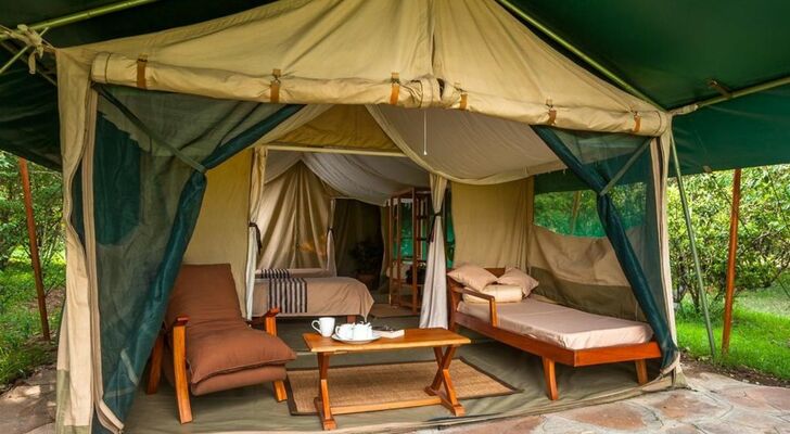 Losokwan Luxury Tented Camp - Maasai Mara