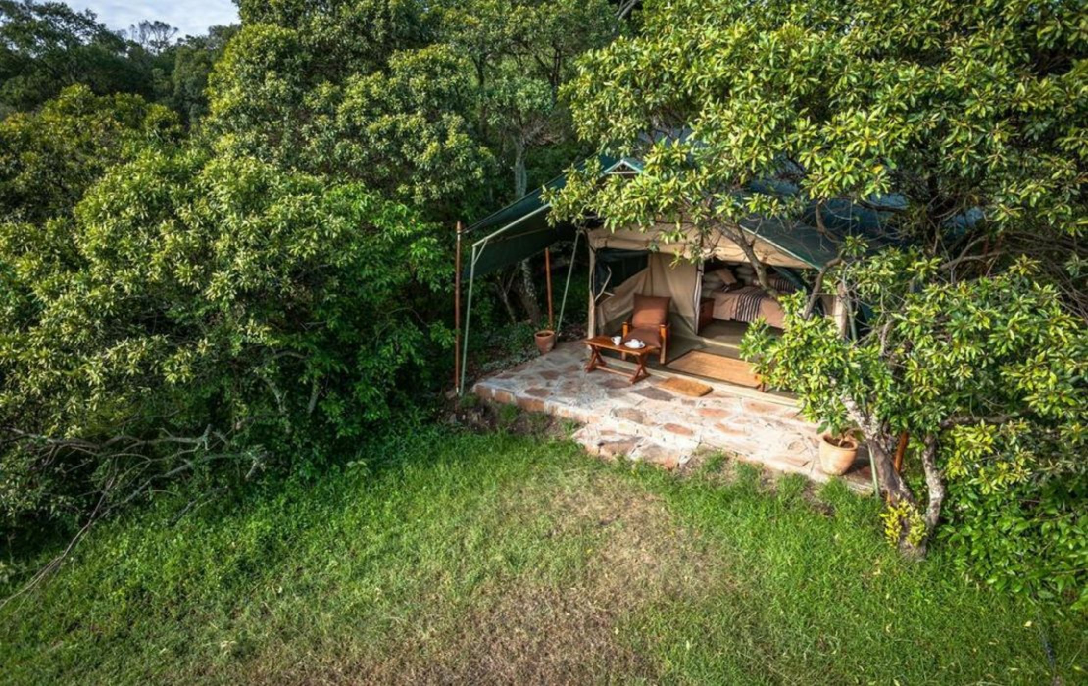 Losokwan Luxury Tented Camp - Maasai Mara