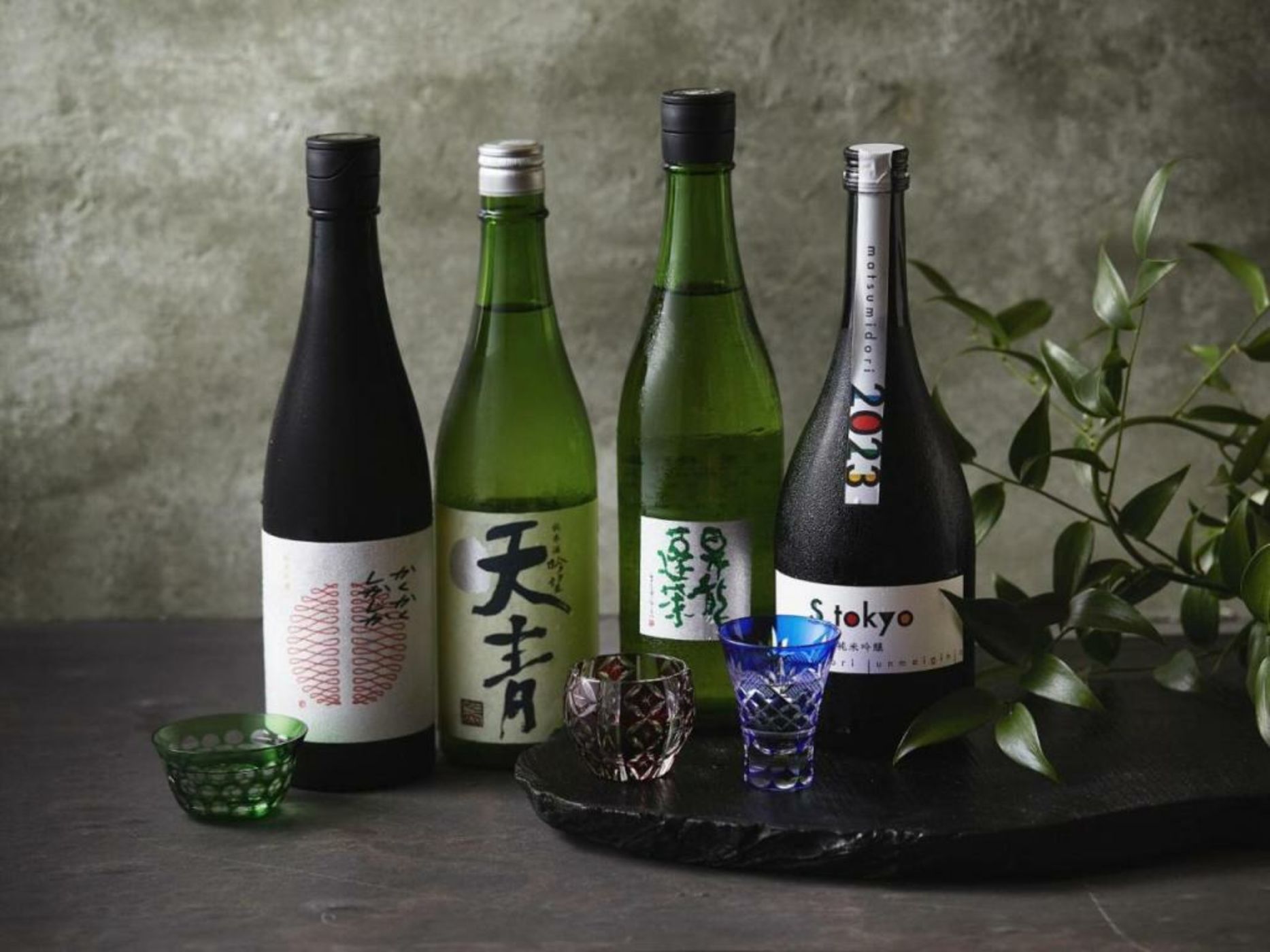 Hakone Retreat villa 1/f