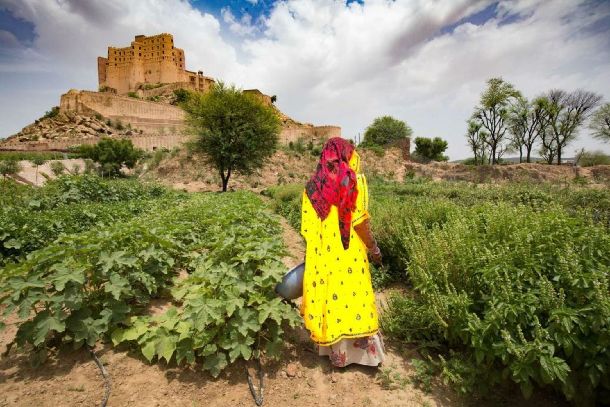 Alila Fort Bishangarh Jaipur - A Hyatt Brand