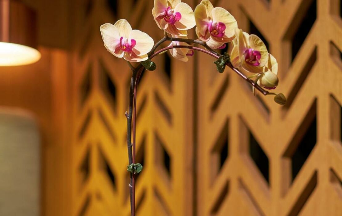 Oasia Hotel Downtown, Singapore by Far East Hospitality