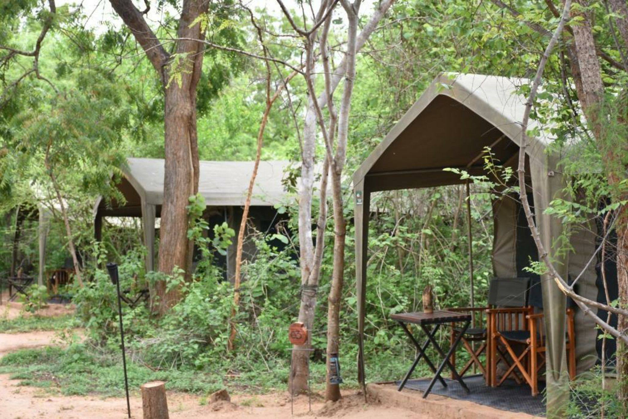 Big Game - Yala by Eco Team