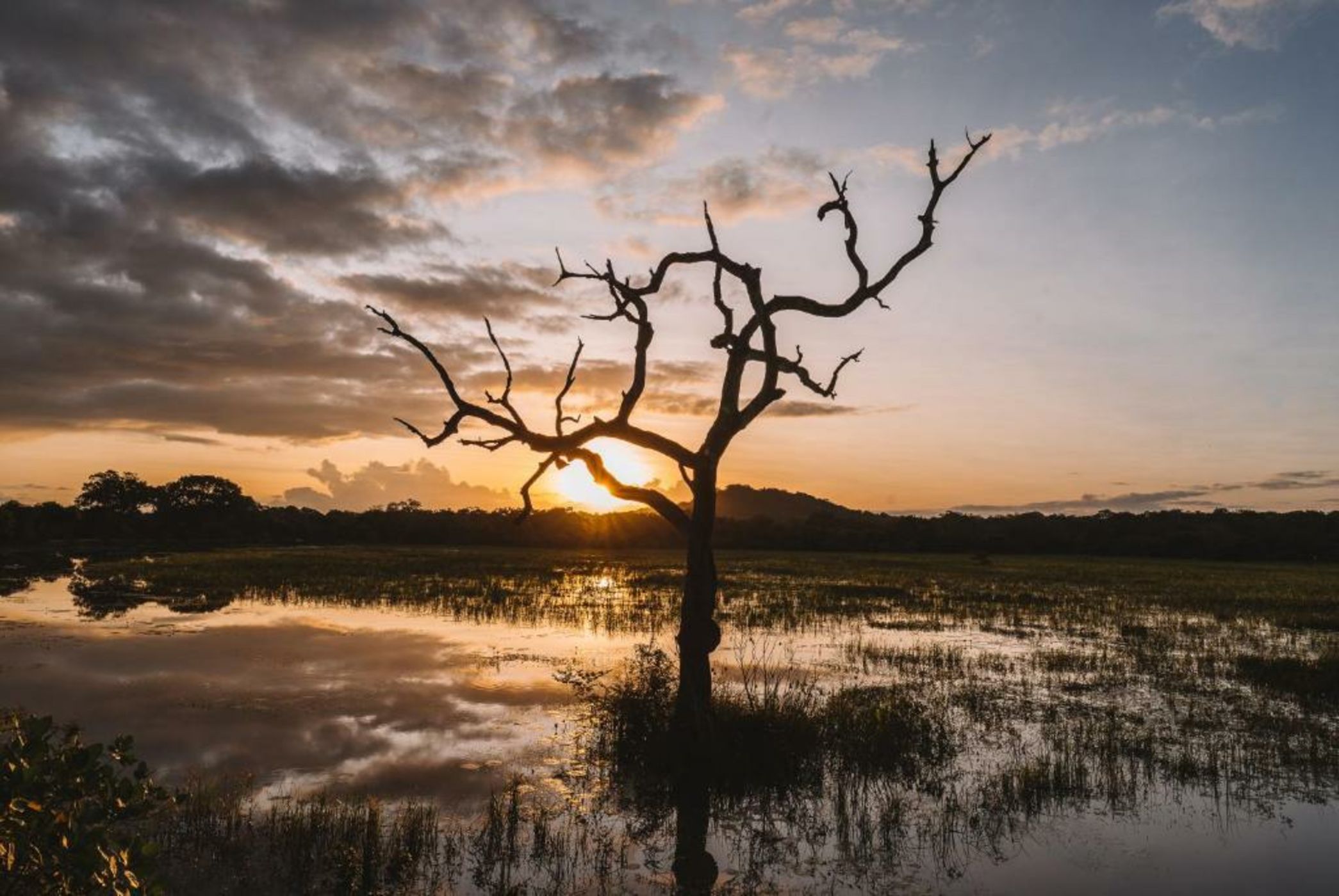 Big Game - Yala by Eco Team