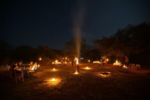 Big Game - Yala by Eco Team