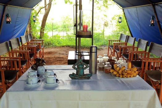 Big Game - Yala by Eco Team