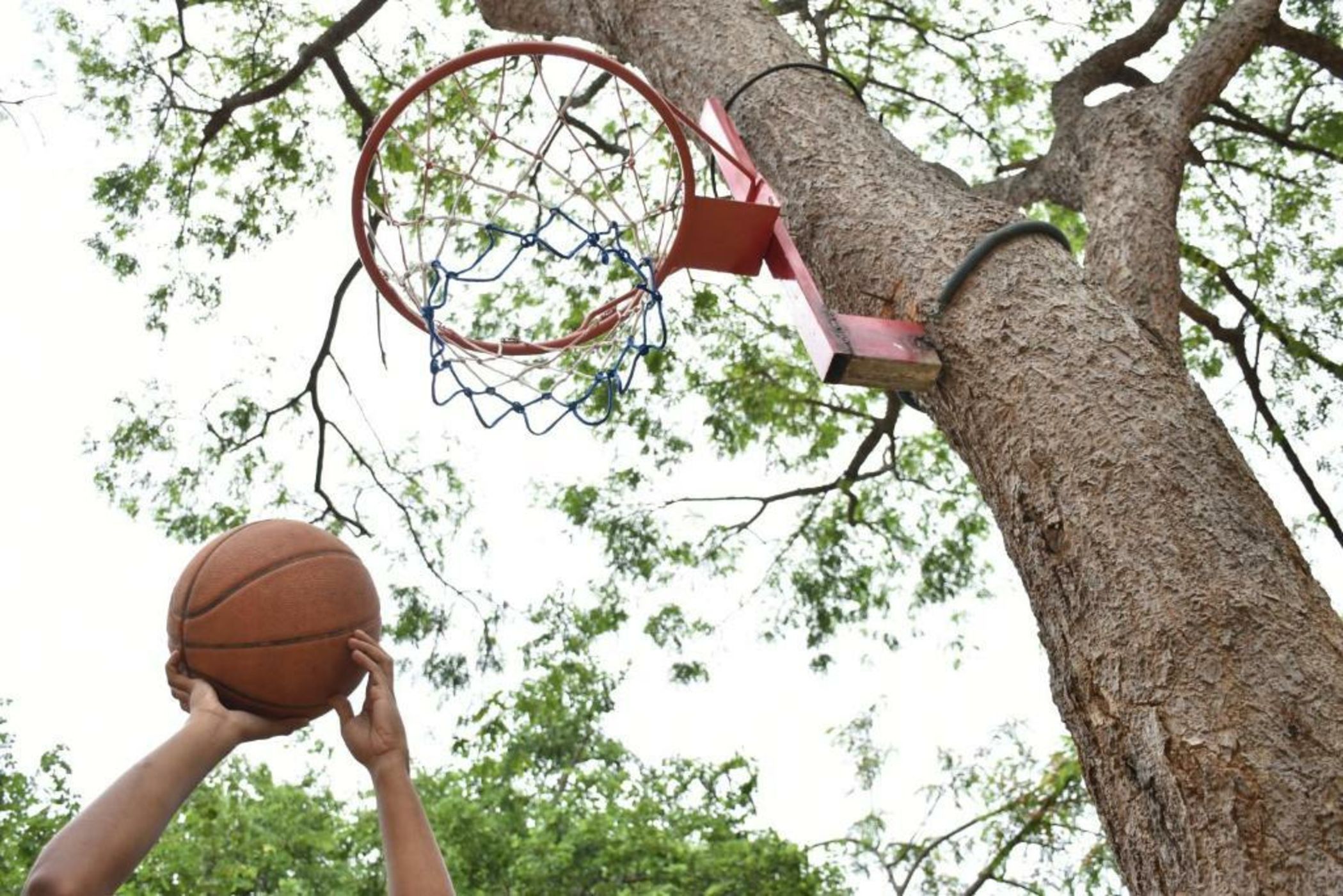 Big Game - Yala by Eco Team