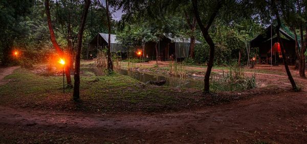 Big Game - Yala by Eco Team