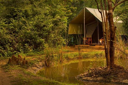 Big Game - Yala by Eco Team