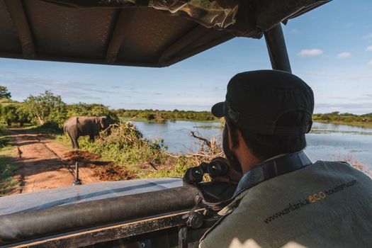 Big Game - Yala by Eco Team