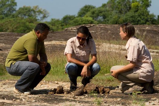 Big Game - Yala by Eco Team
