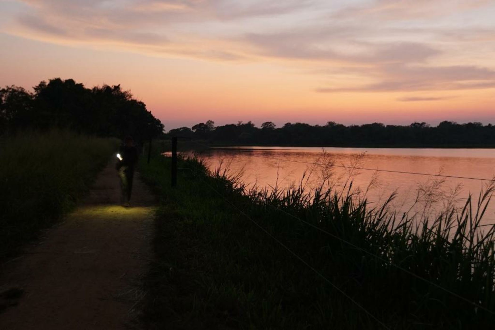 Big Game - Yala by Eco Team