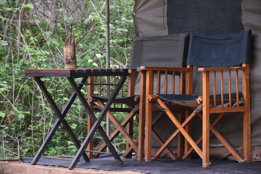 Big Game - Yala by Eco Team