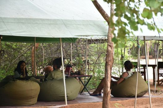 Big Game - Yala by Eco Team