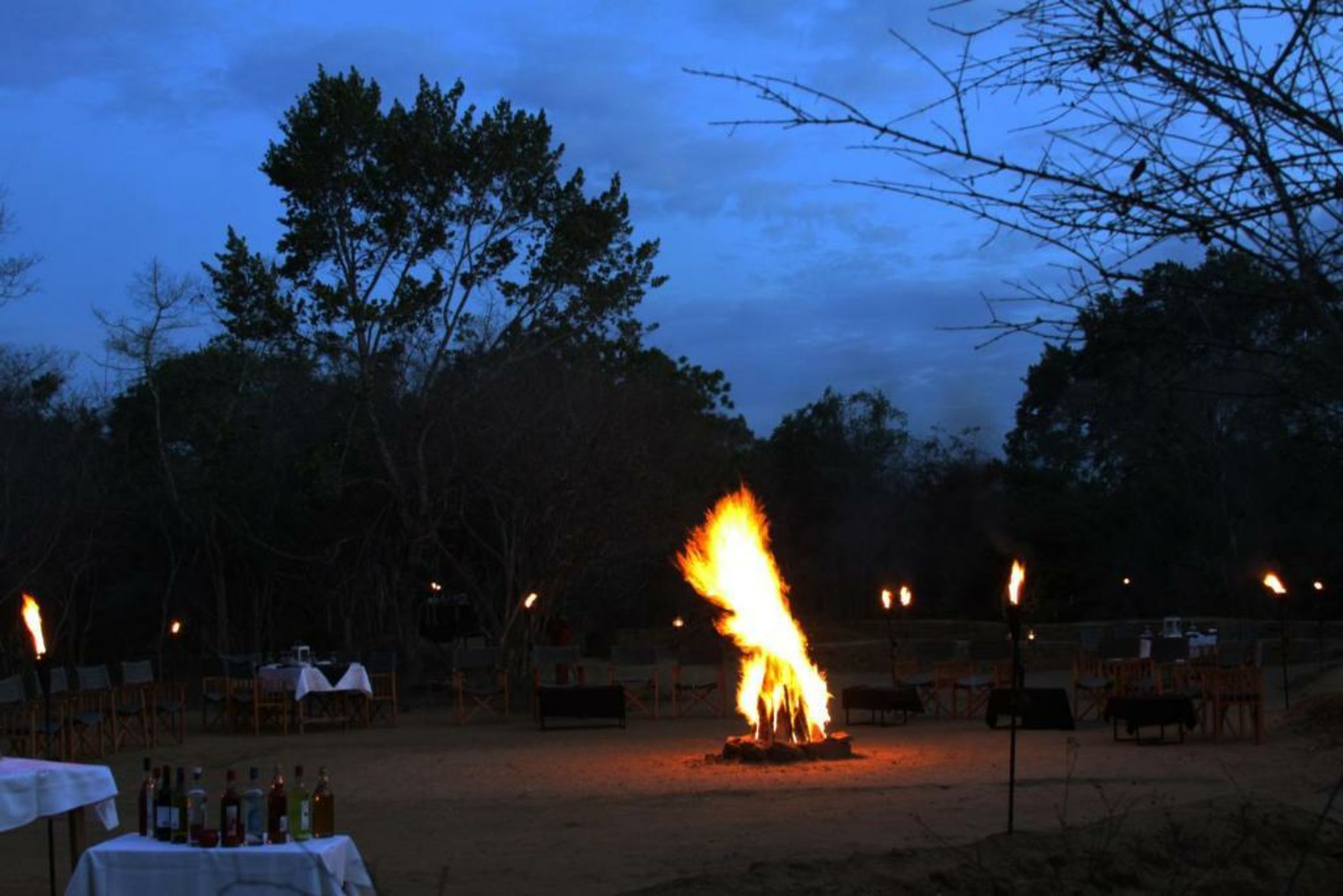 Big Game - Yala by Eco Team