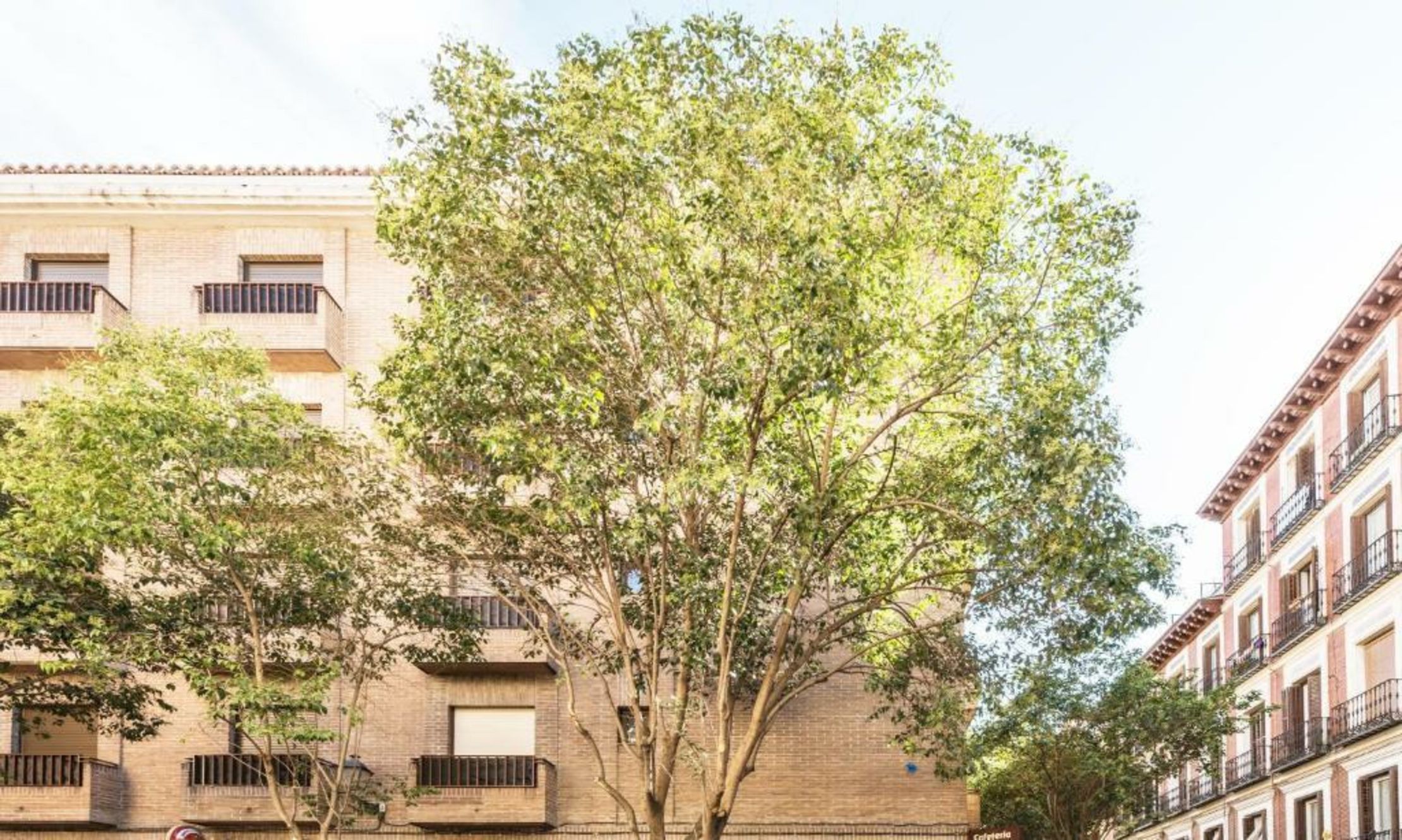 L&H La Latina Selection