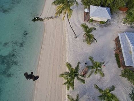 Tiamo Resort