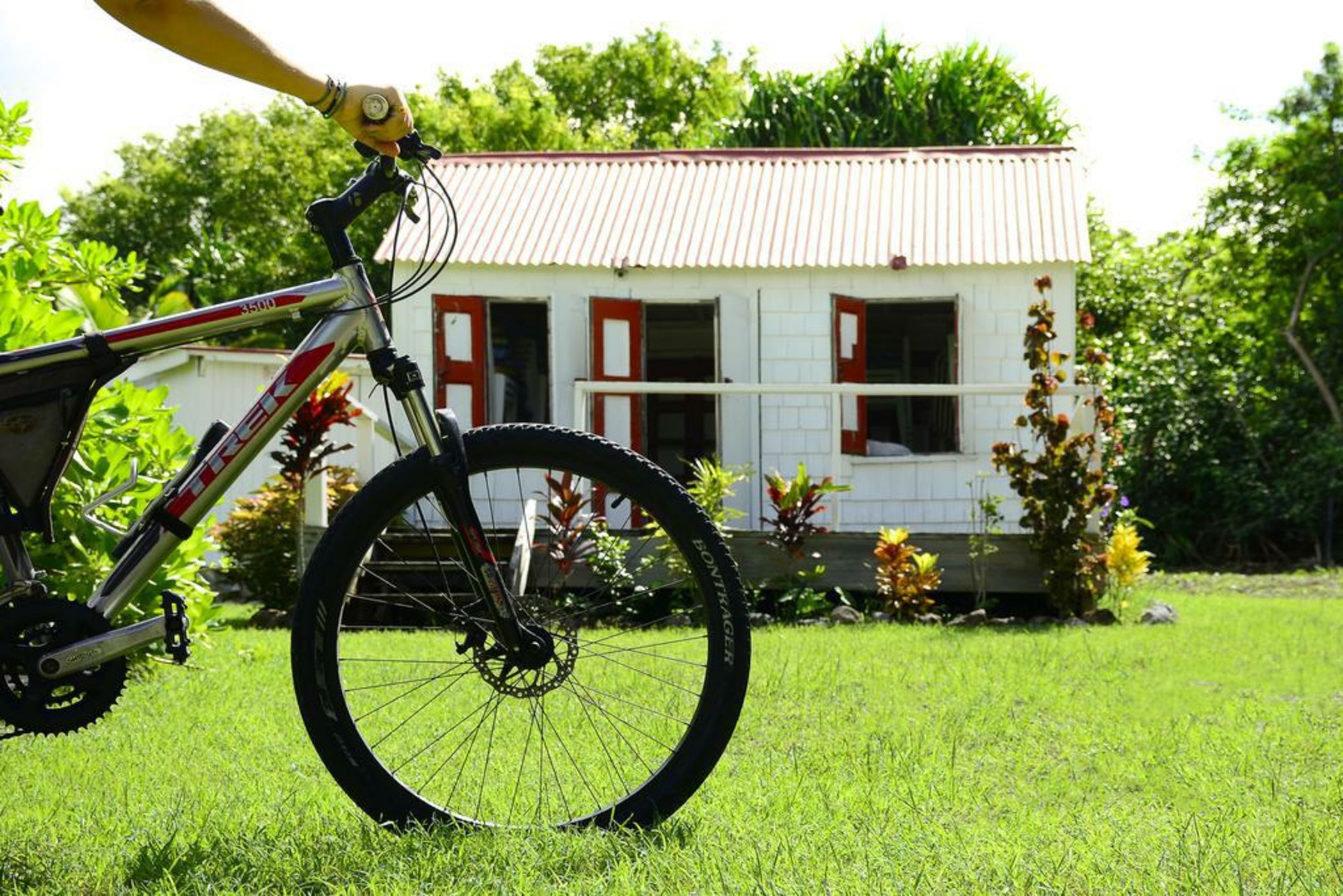 Montpelier Plantation & Beach