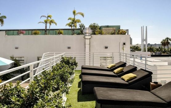 Posh South Beach