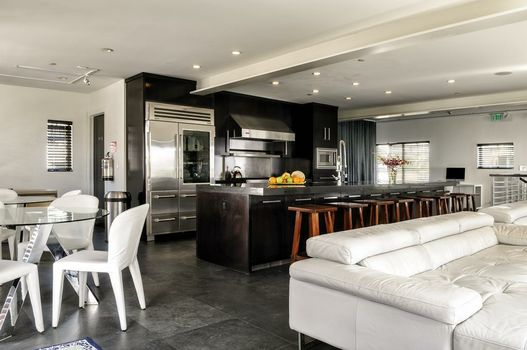 Posh South Beach