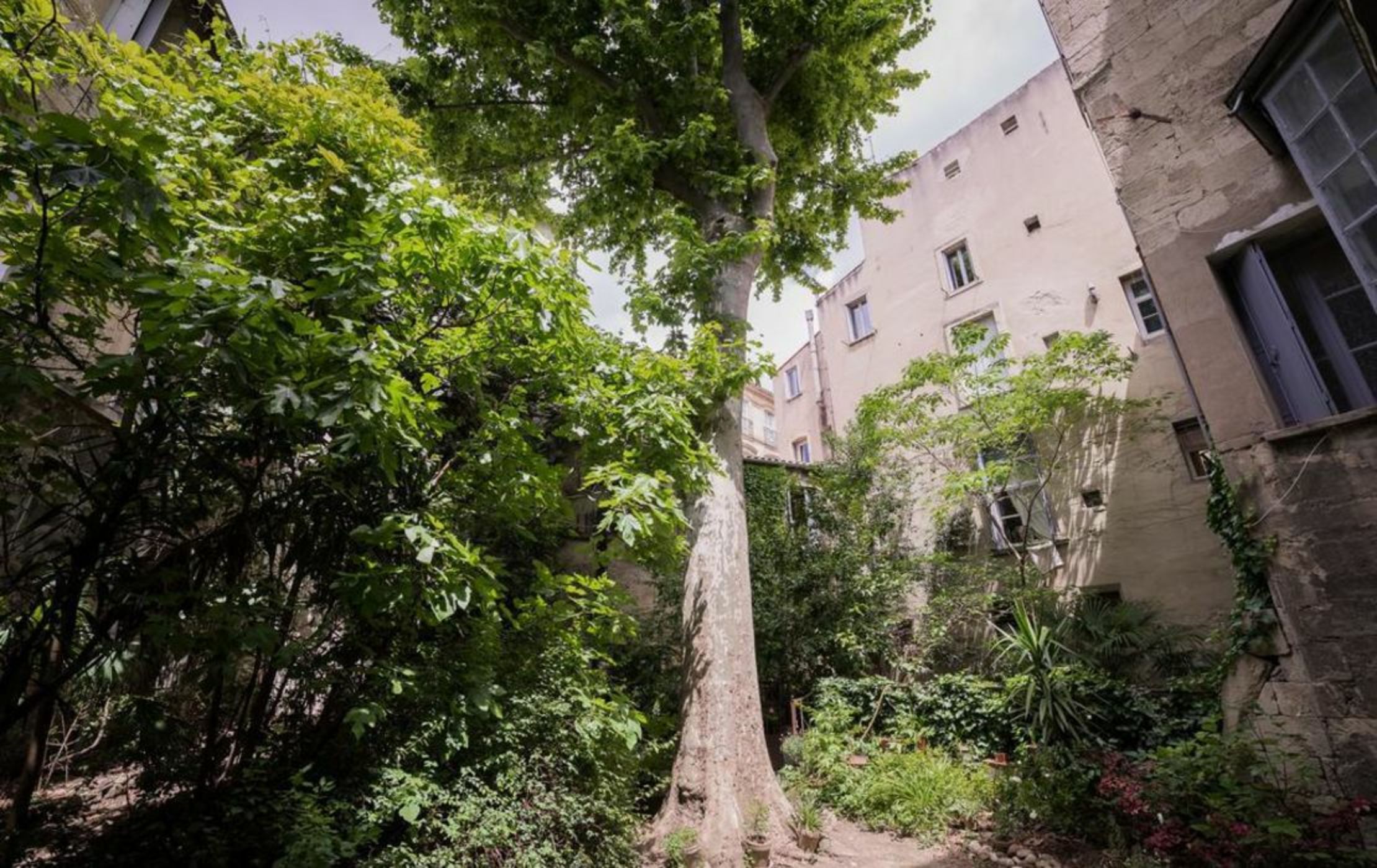 Les Jardins De L´Ecusson - Première Conciergerie