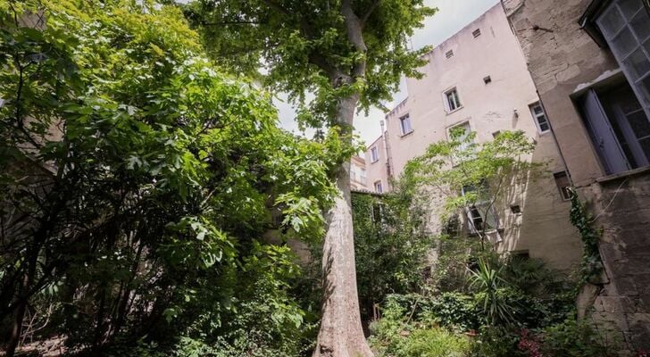 Les Jardins De L´Ecusson - Première Conciergerie