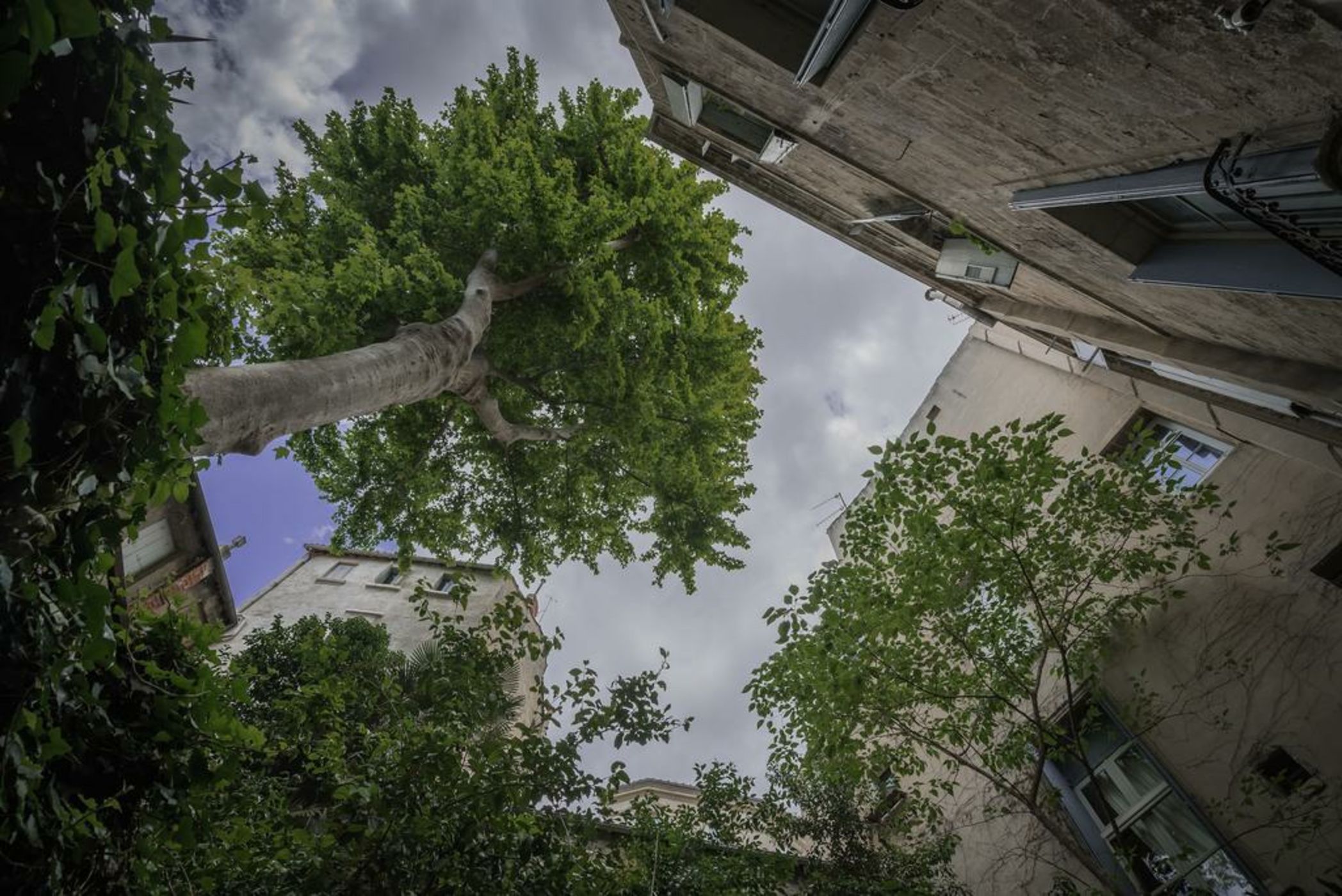 Les Jardins De L´Ecusson - Première Conciergerie