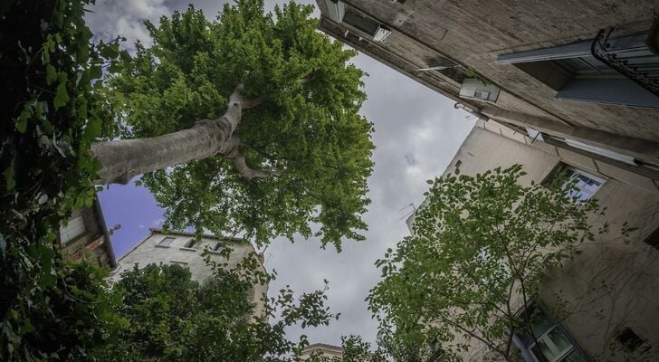 Les Jardins De L´Ecusson - Première Conciergerie