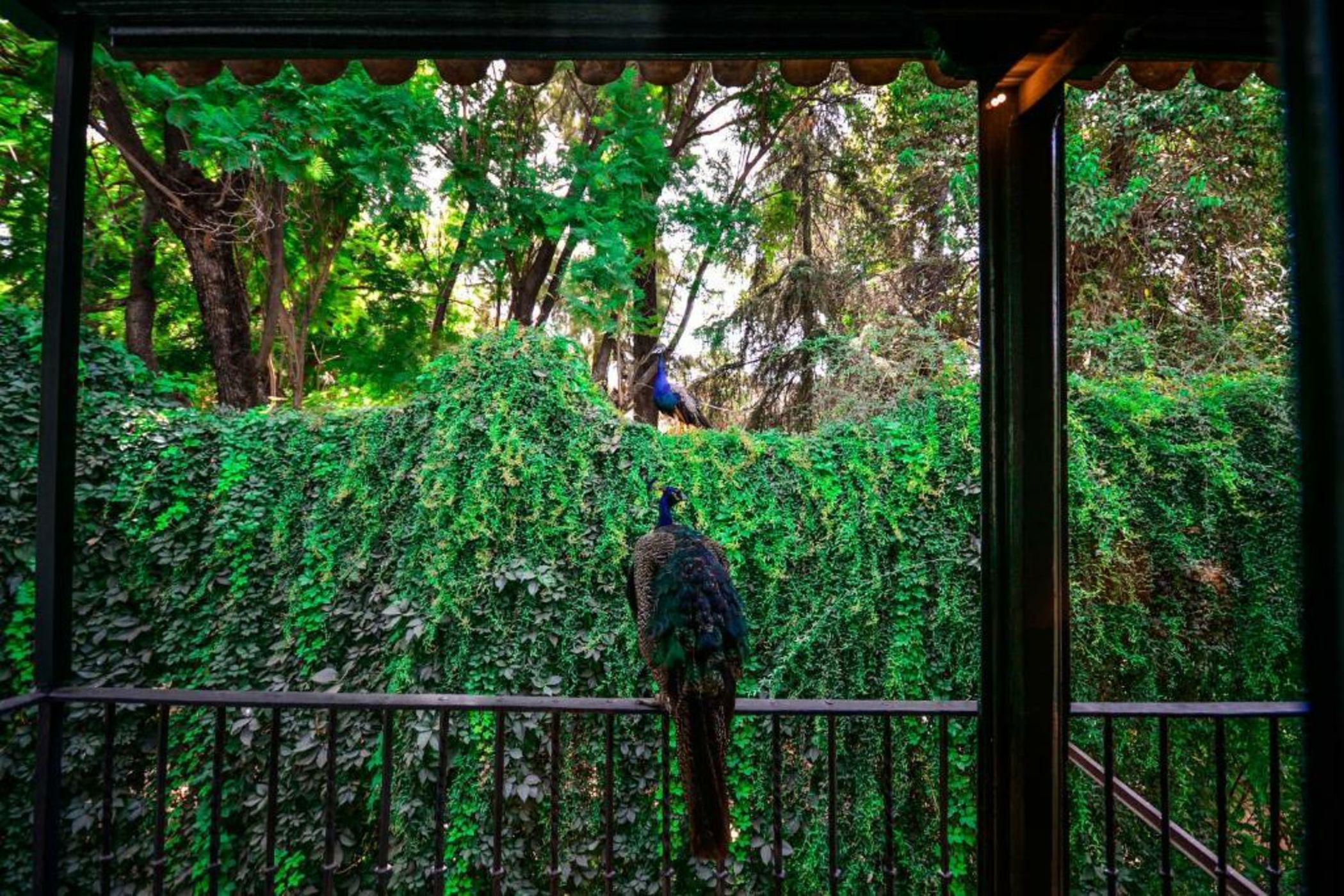 Hotel Legado Alcazar