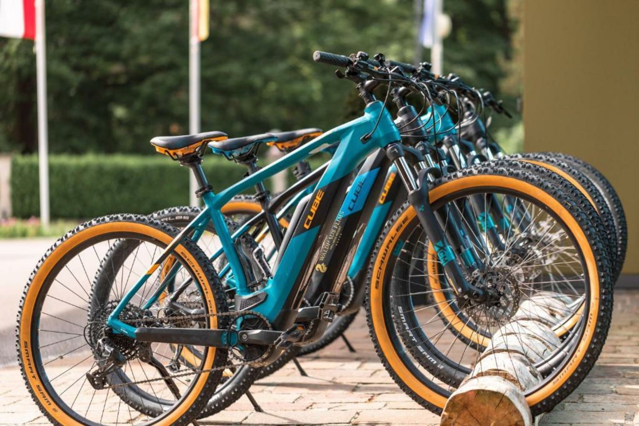 Waldhaus Flims Wellness Resort, Autograph Collection