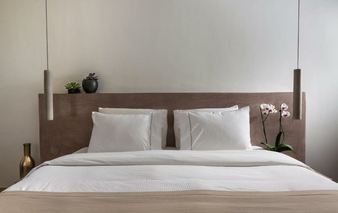 Andronis Concept Wellness Resort