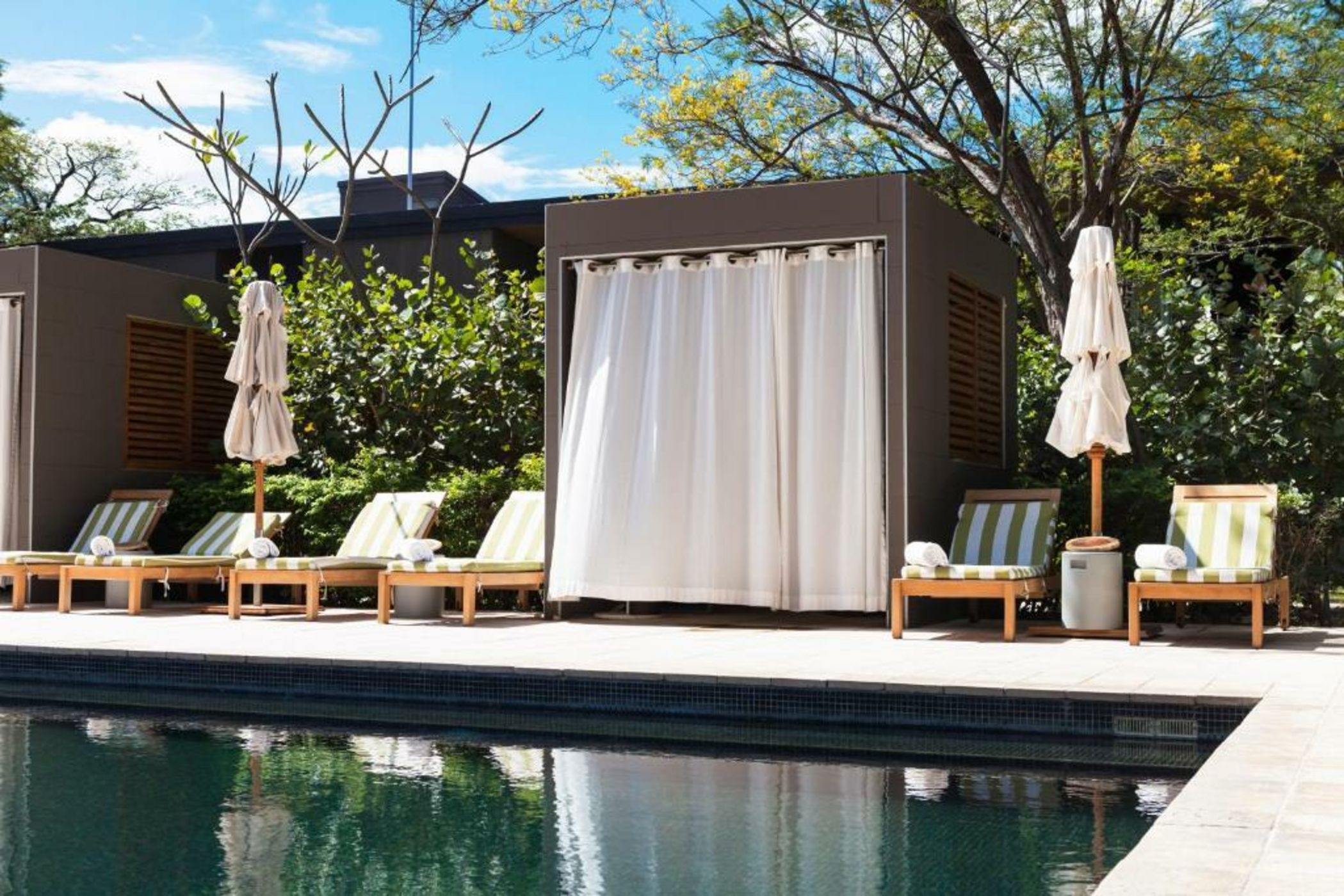 El Mangroove Papagayo, Autograph Collection