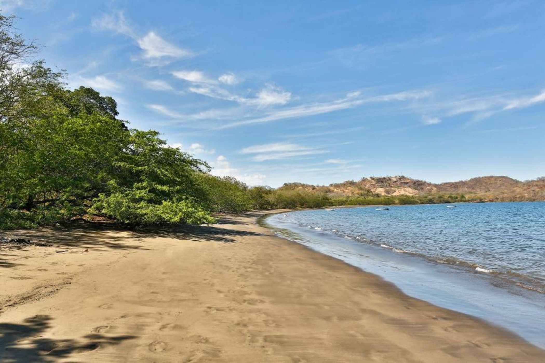 El Mangroove Papagayo, Autograph Collection