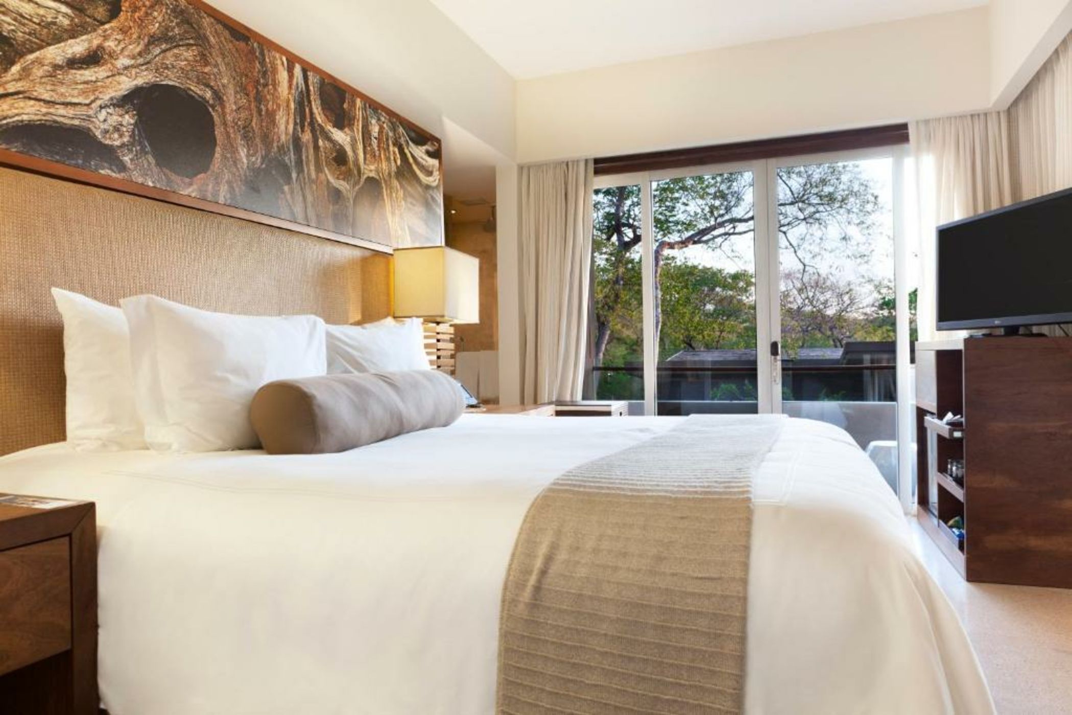 El Mangroove Papagayo, Autograph Collection