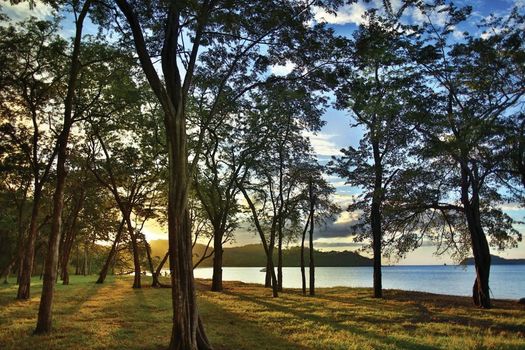 El Mangroove Papagayo, Autograph Collection