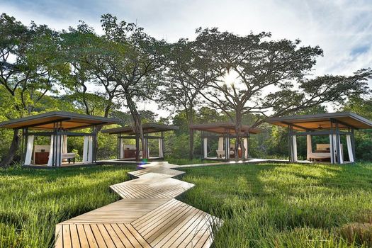 El Mangroove Papagayo, Autograph Collection