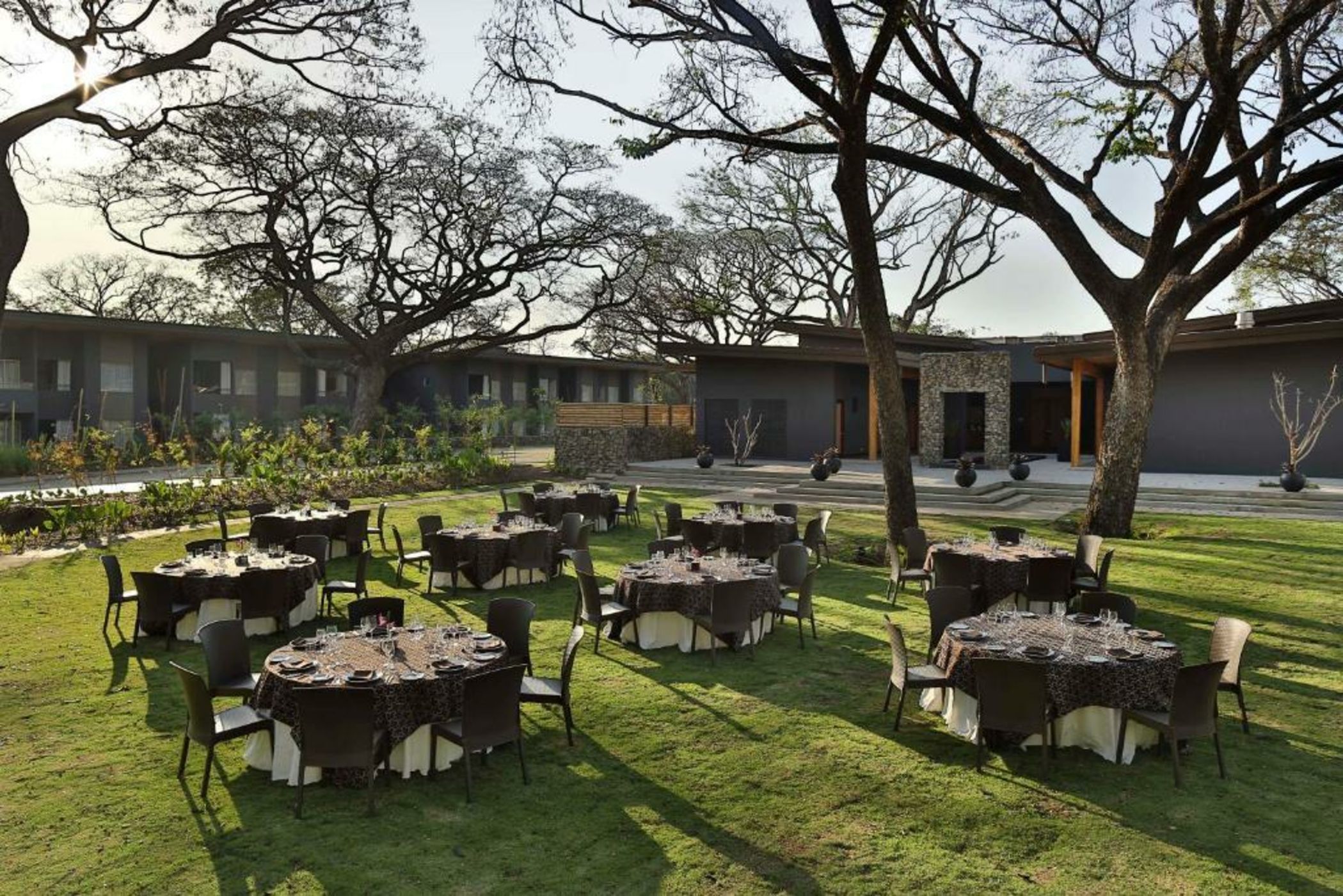 El Mangroove Papagayo, Autograph Collection