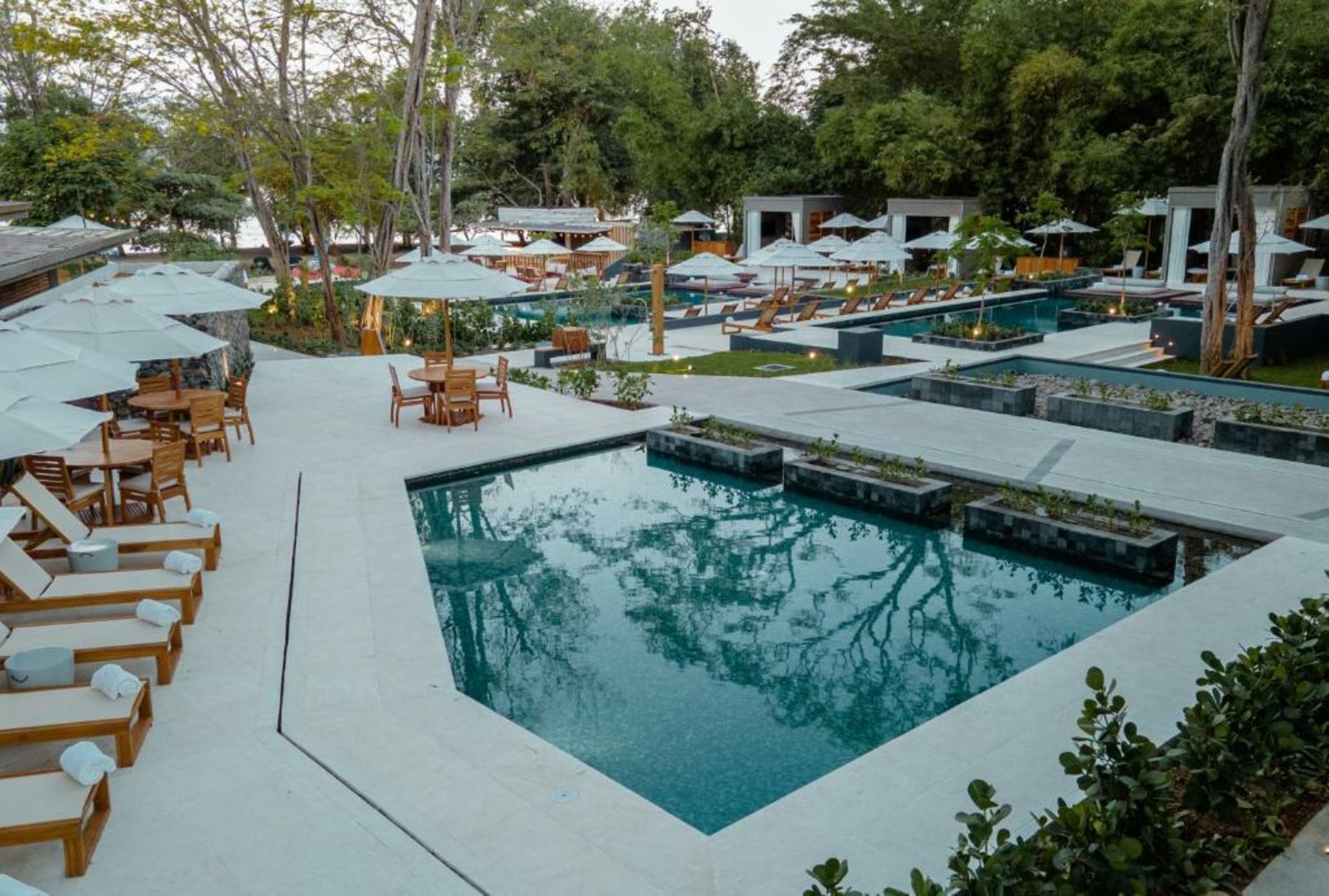 El Mangroove Papagayo, Autograph Collection