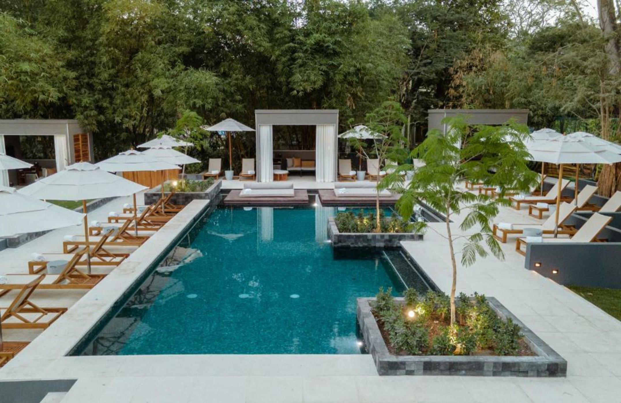 El Mangroove Papagayo, Autograph Collection