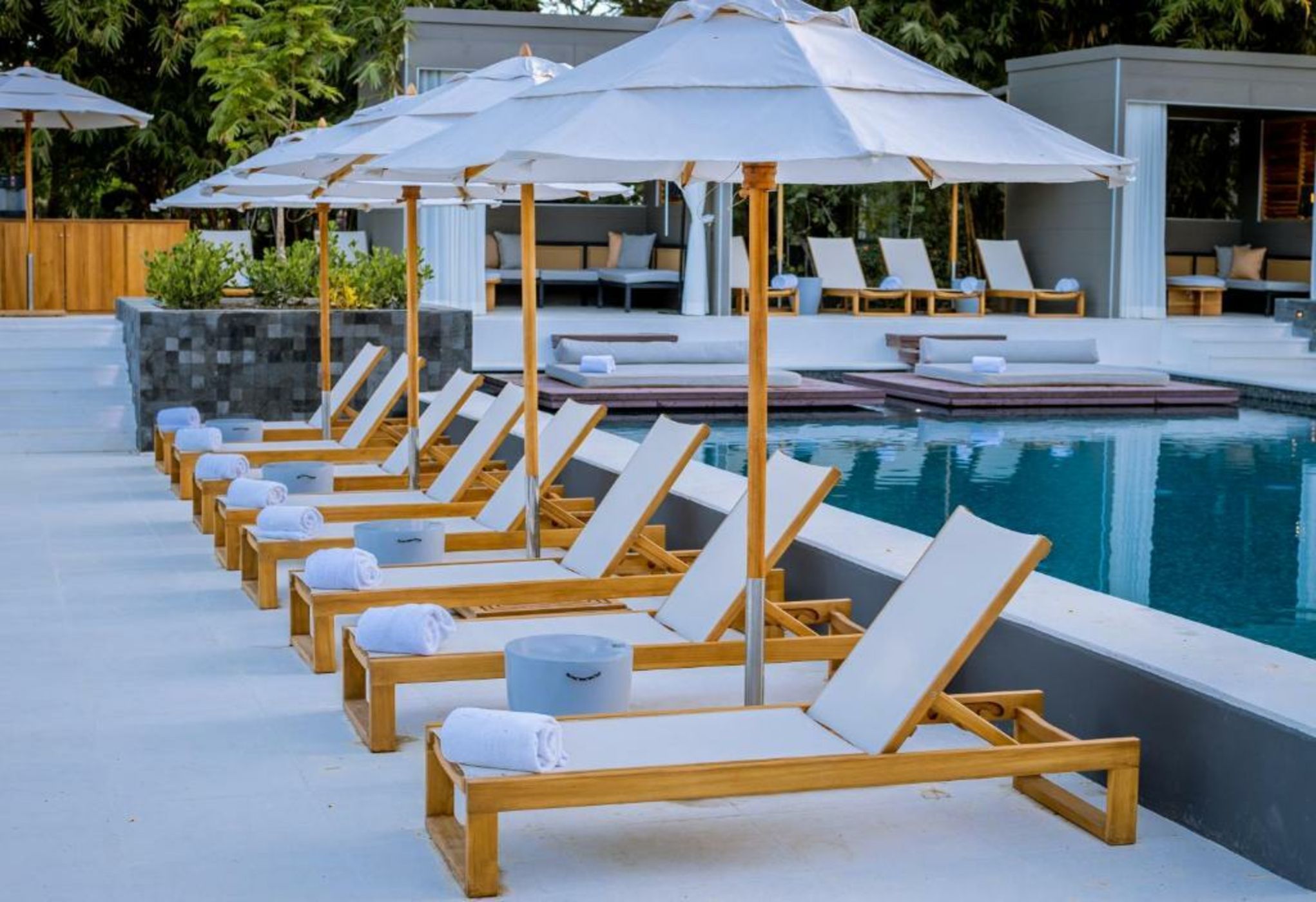 El Mangroove Papagayo, Autograph Collection