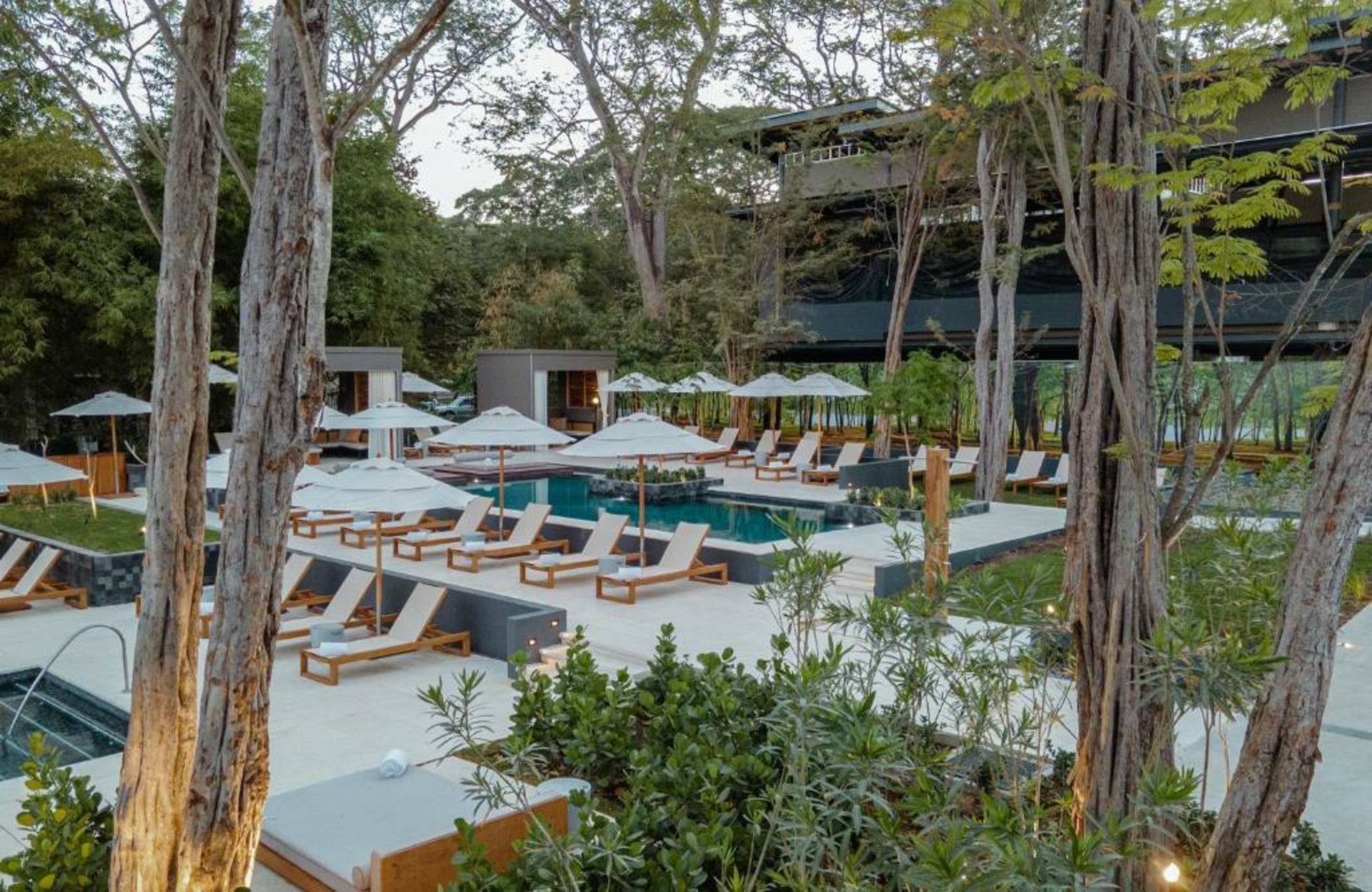 El Mangroove Papagayo, Autograph Collection