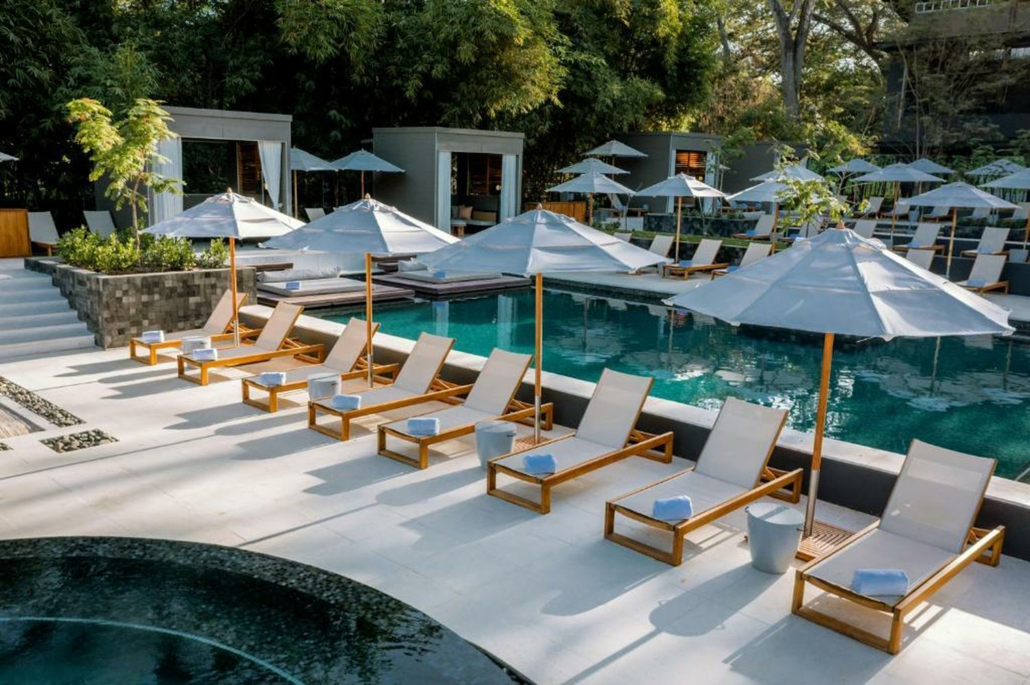 El Mangroove Papagayo, Autograph Collection