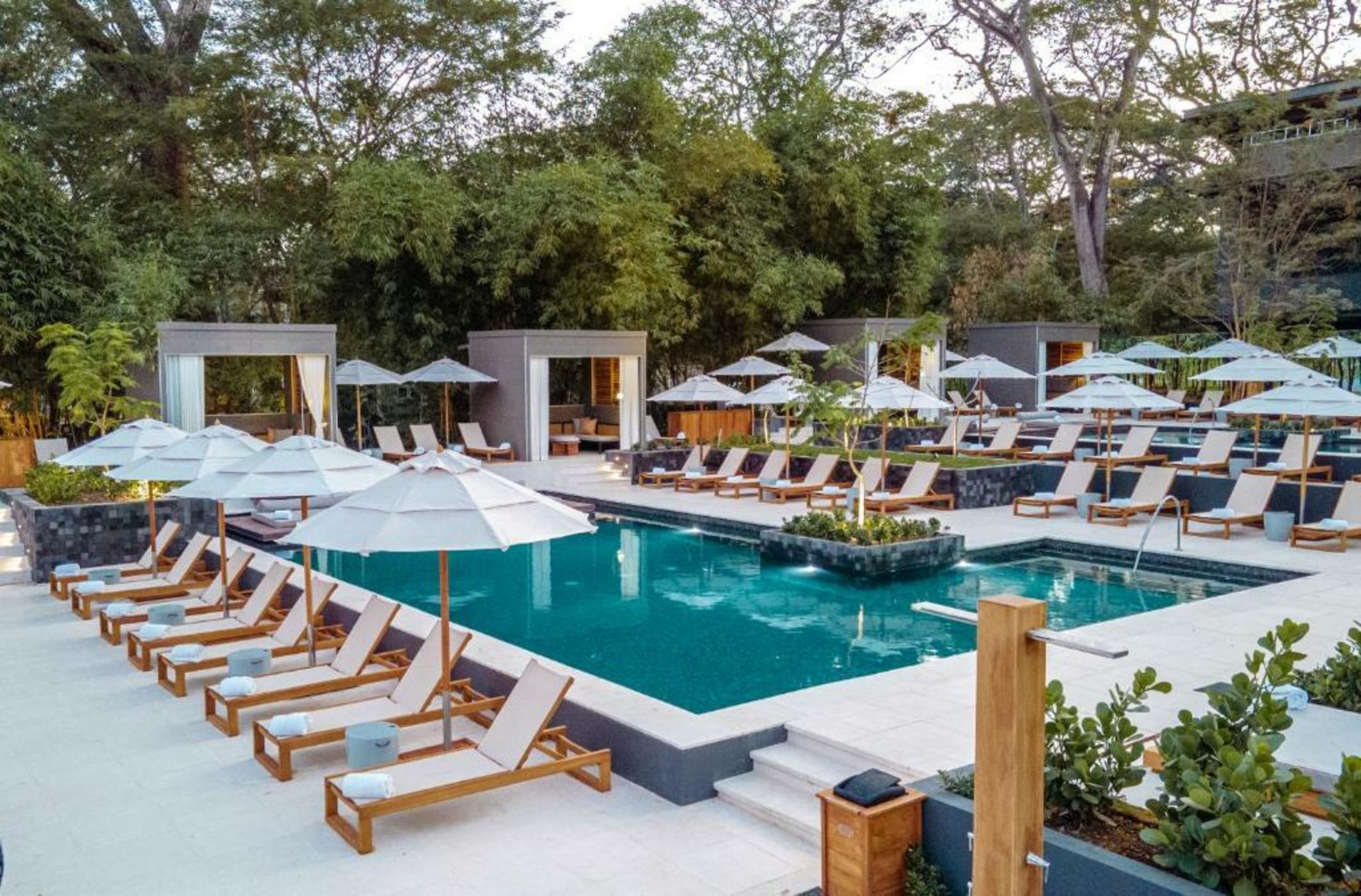 El Mangroove Papagayo, Autograph Collection