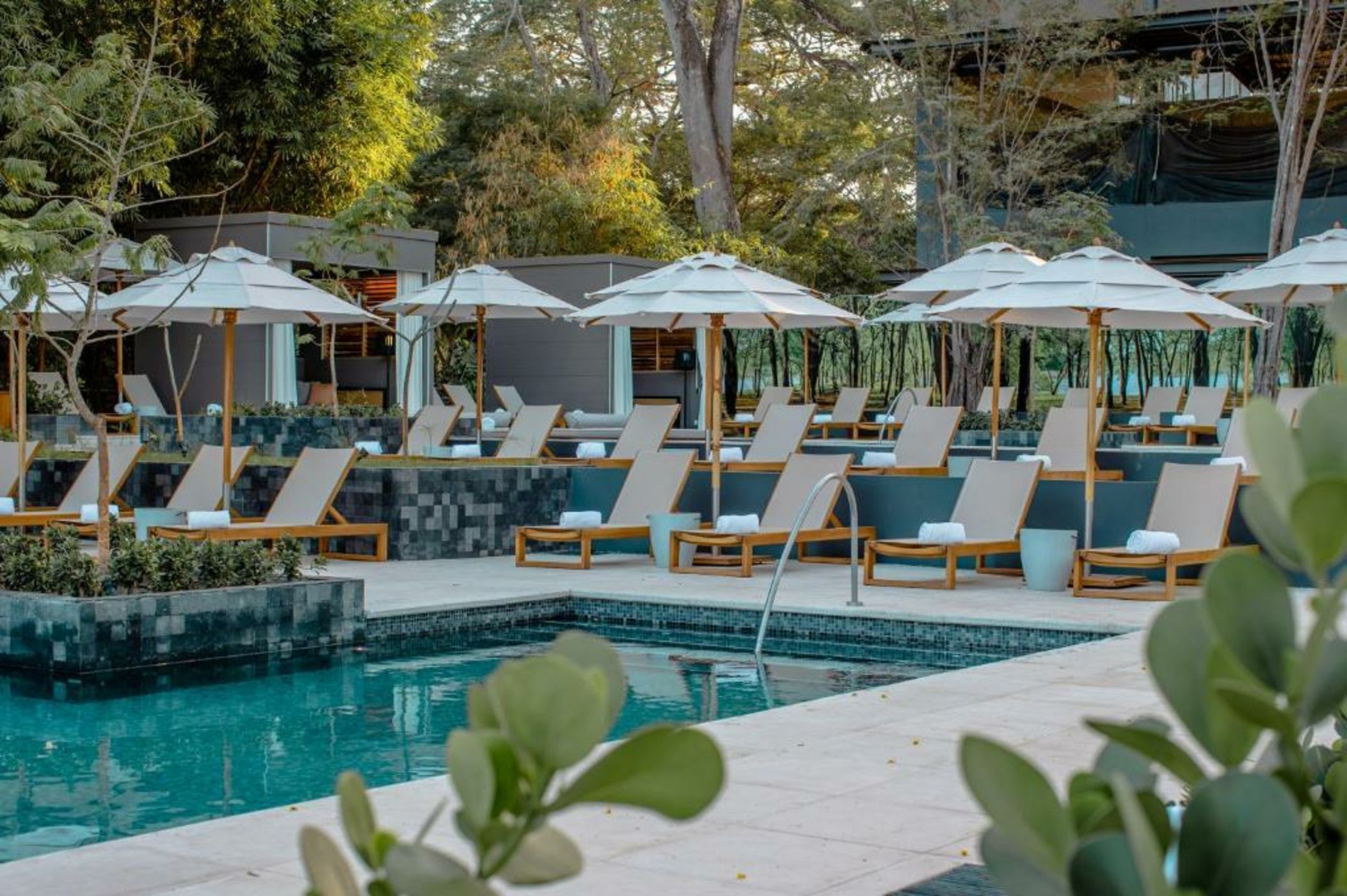 El Mangroove Papagayo, Autograph Collection