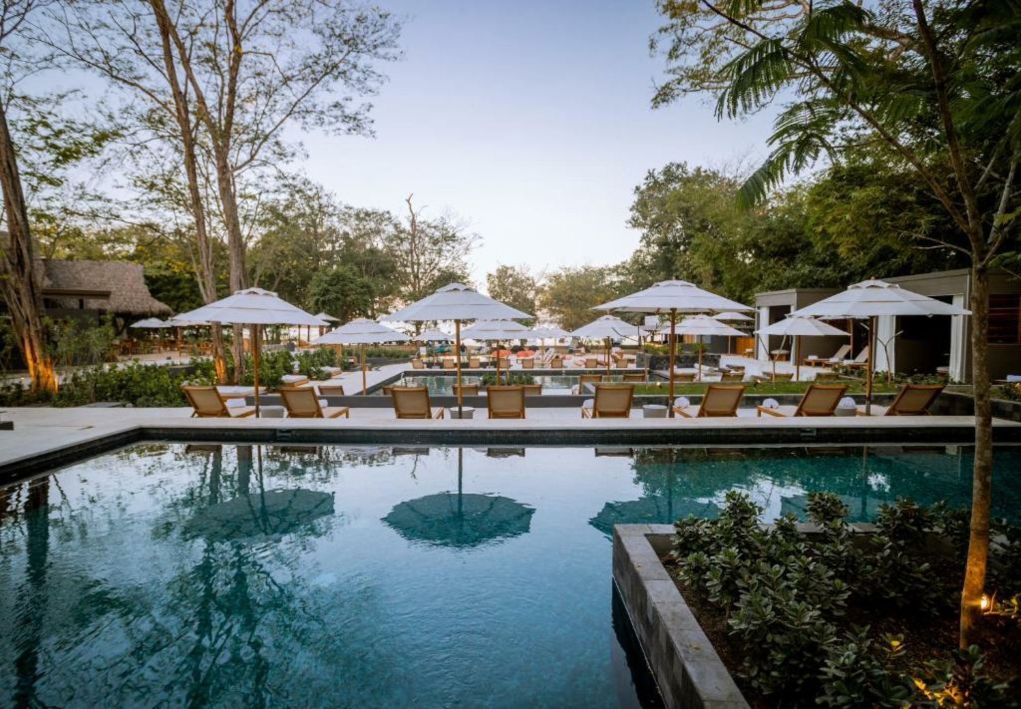 El Mangroove Papagayo, Autograph Collection