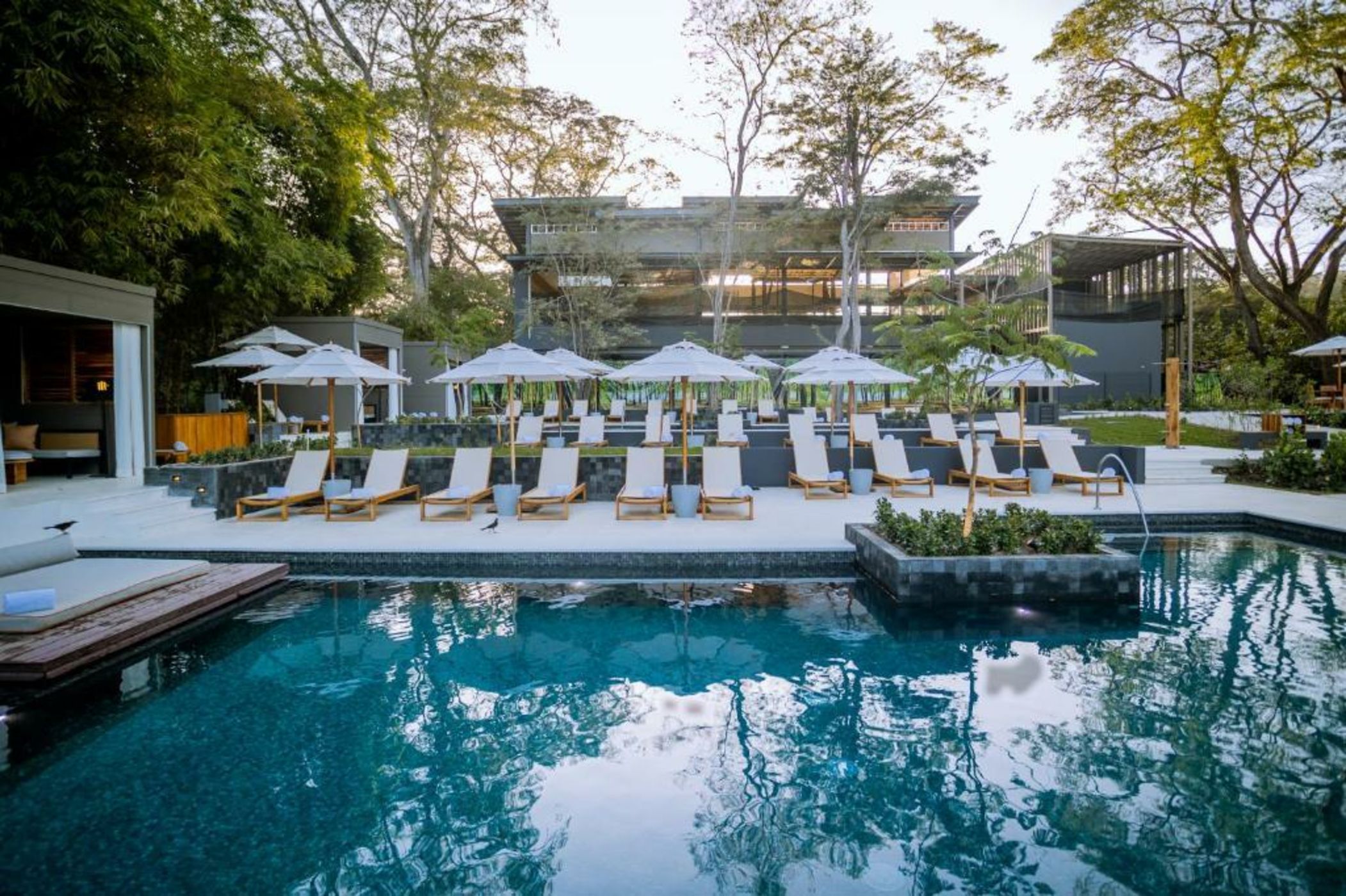 El Mangroove Papagayo, Autograph Collection