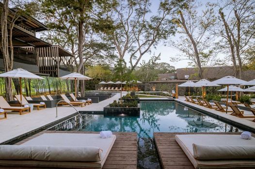 El Mangroove Papagayo, Autograph Collection