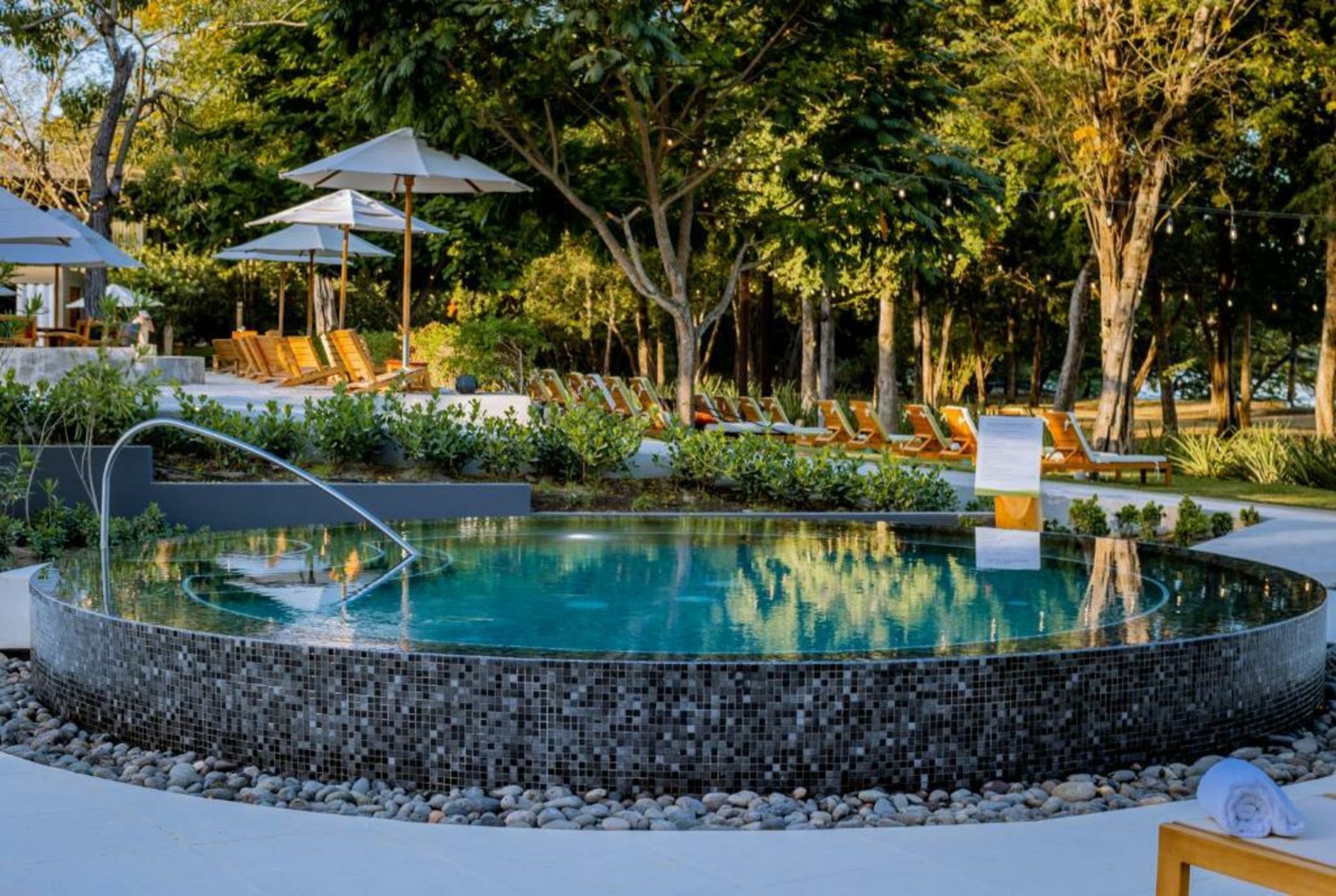 El Mangroove Papagayo, Autograph Collection